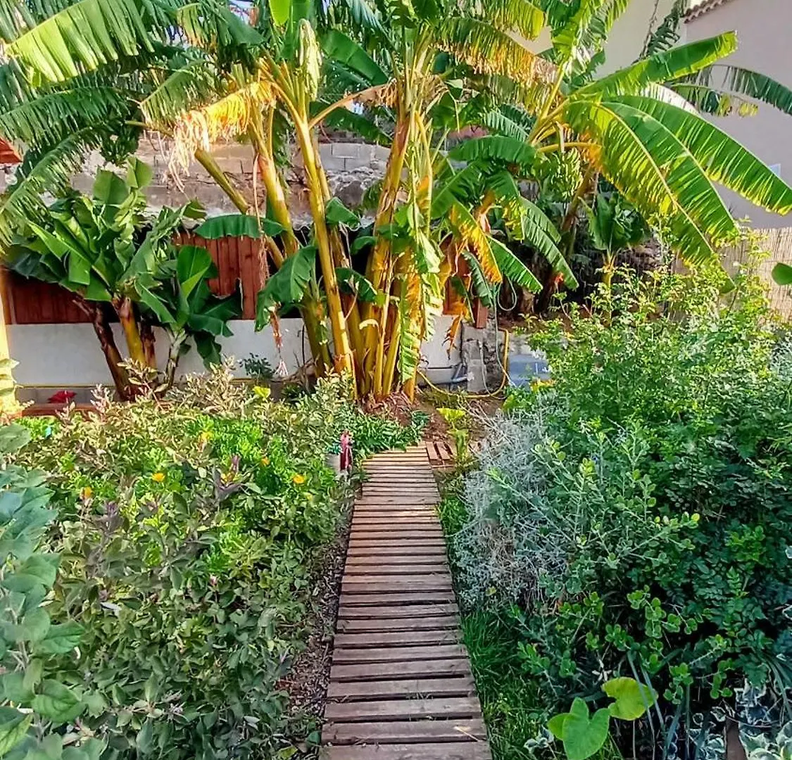 Apartment Finca Don Pedro Santa Cruz de Tenerife