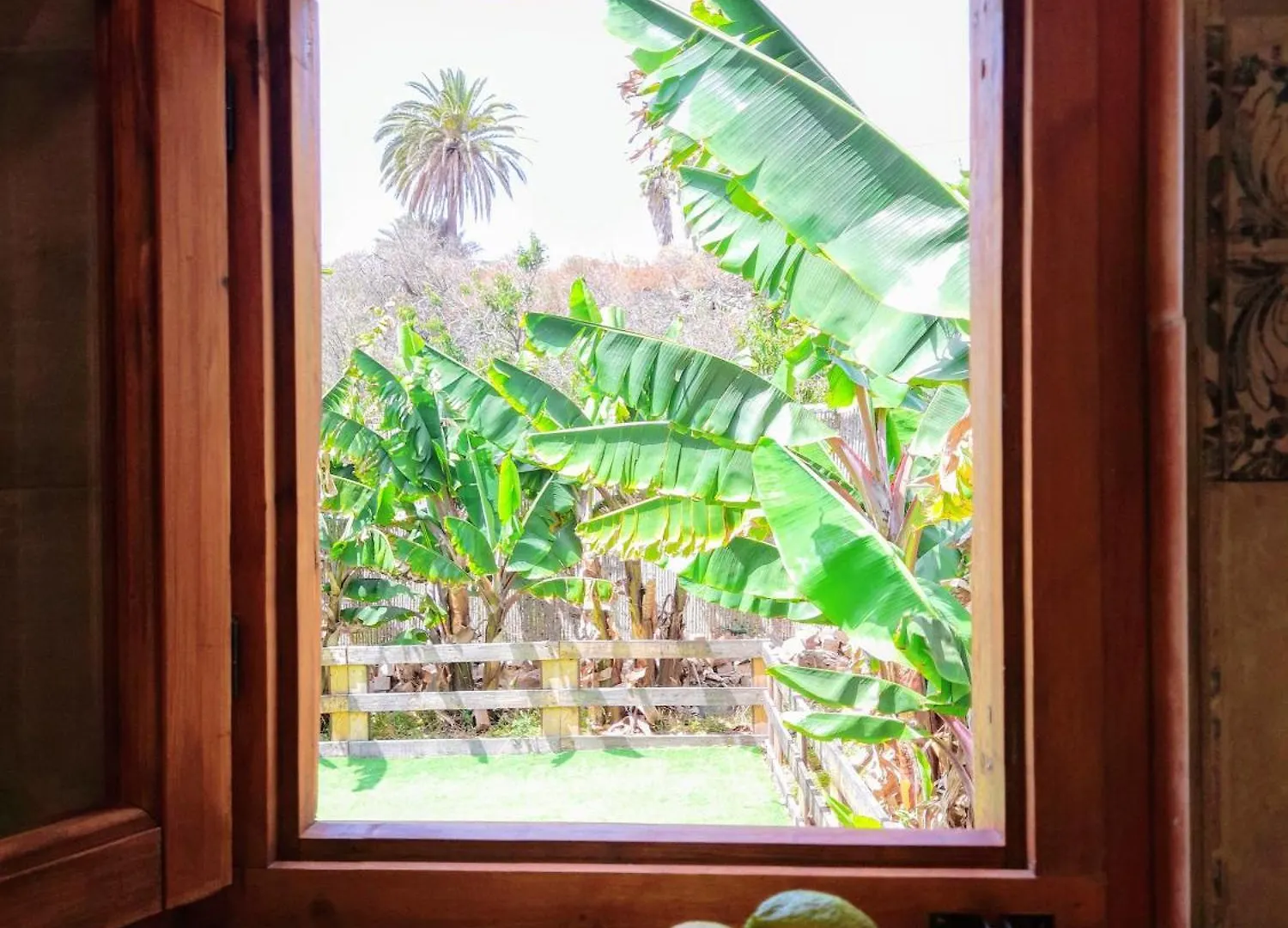 Finca Don Pedro Santa Cruz de Tenerife Apartment
